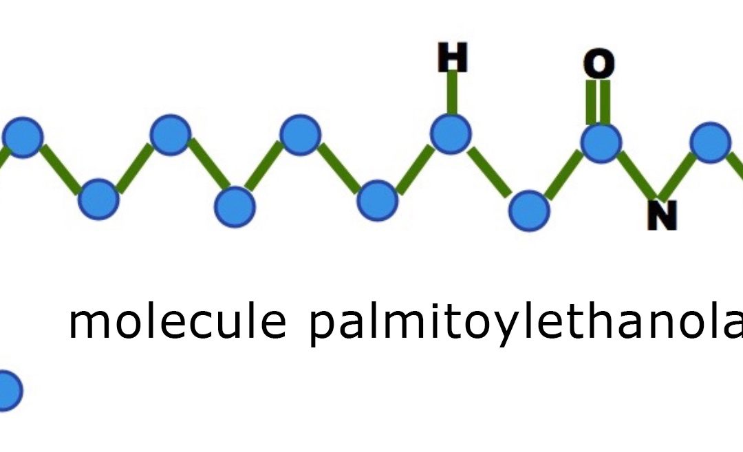 PEA – PALMITOYLETHANOLAMIDE, A NATURAL PAINKILLER